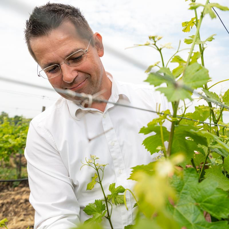 BioDyn Weinhof Haider Blaufrankisch 2018