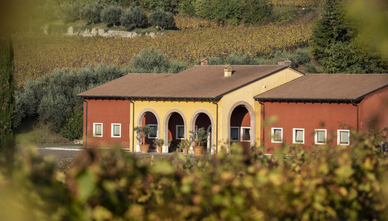 Soave Classico Balestri Valda 2023