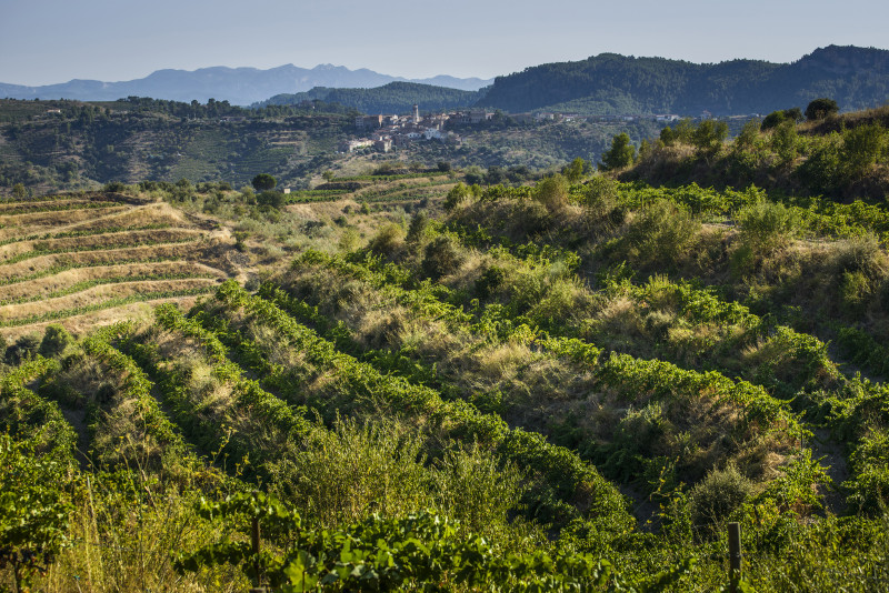 Gratavinum Priorat 2pir 2021