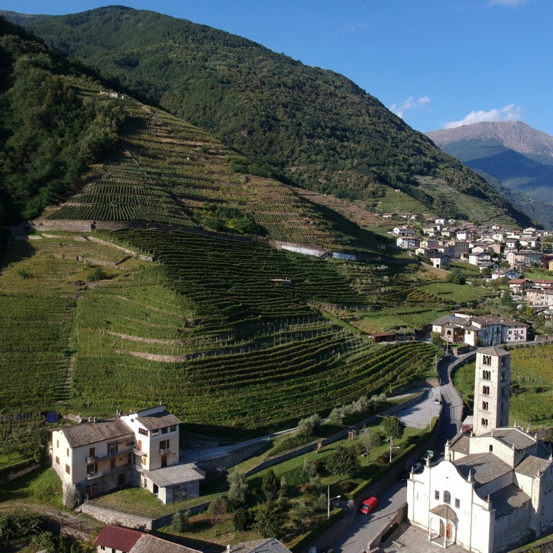 Marcel Zanolari Essenziale Rosso di Valtellina 2017