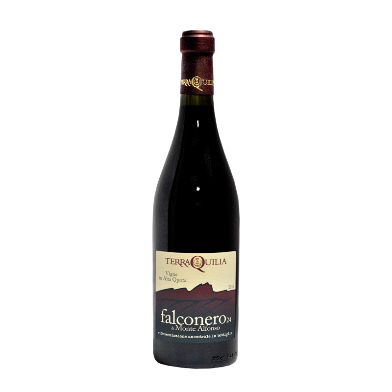 TerraQuilia Lambrusco Falconero24 Cru Monte Alfonso 2017