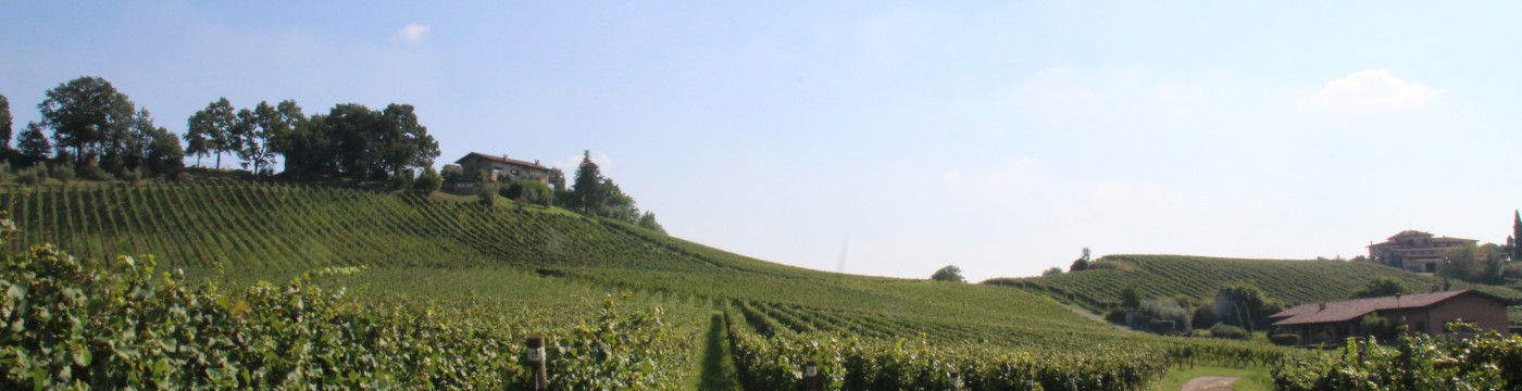 Franciacorta