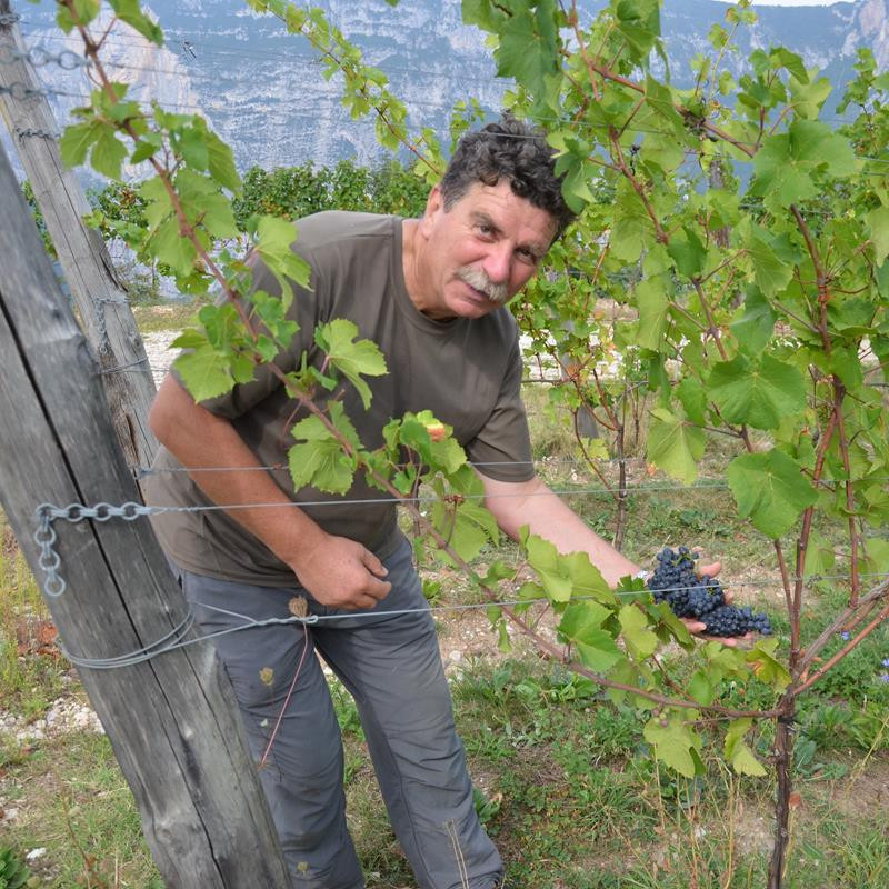 Bellaveder Muller Thurgau San Lorenz 2022