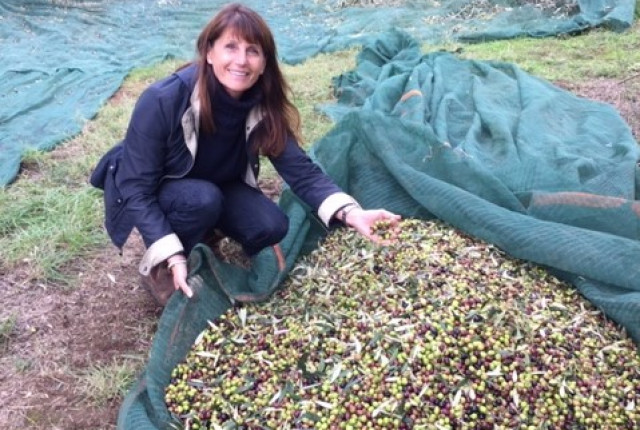 Olio Extravergine di oliva biologico Il Molino