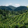 Bele Casel Col Fondo Agricolo