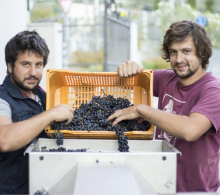 Azienda Agricola Comai