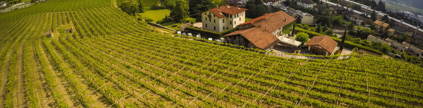Colline di Martignano