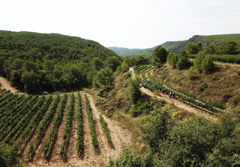 Cava Gran Reserva Blanca Cusiné Brut Nature 2014