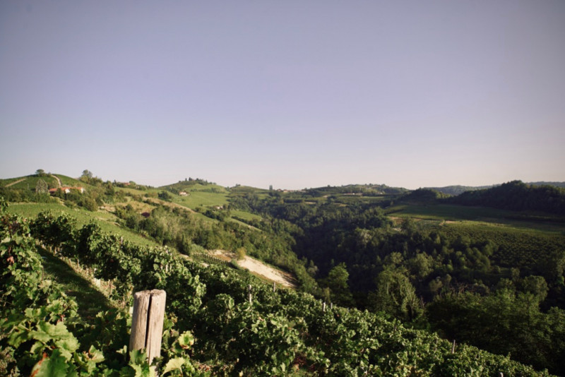 Roberto Garbarino Alta Langa Rosé Dosaggio Zero 2016