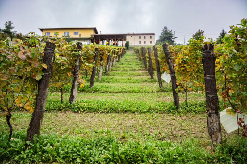 Roberto Garbarino Alta Langa Extra Brut 2017