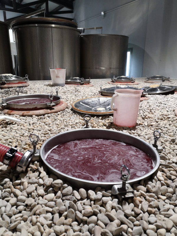 Cirelli Trebbiano d'Abruzzo "Anfora" 2018