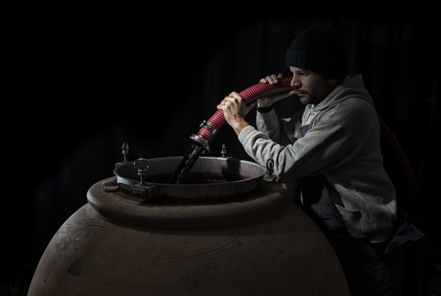 Azienda Agricola Cirelli