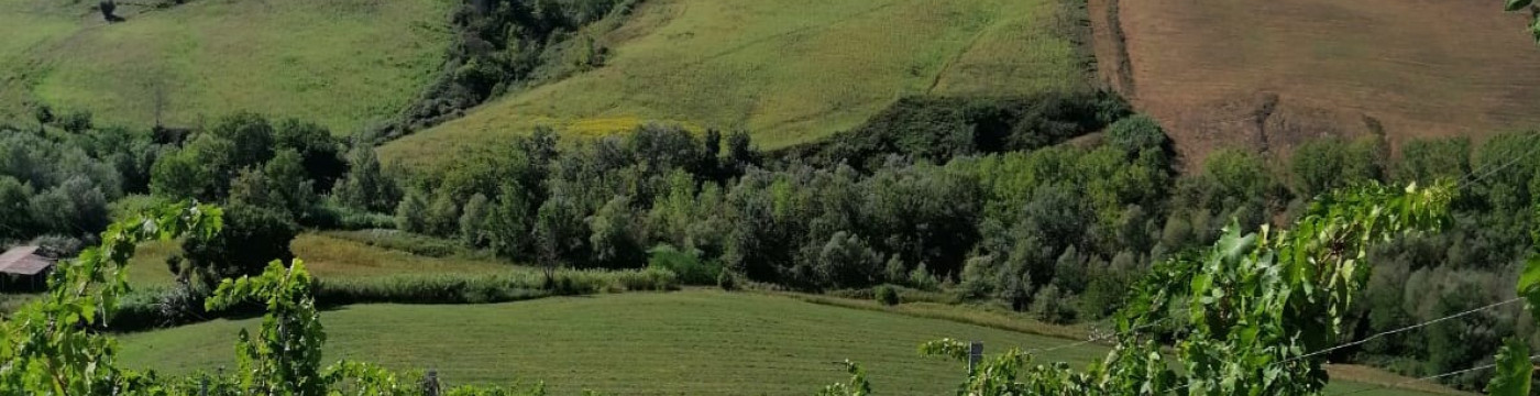 Colline di Atri