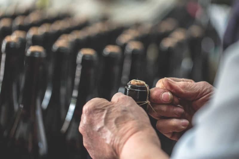 Paltrinieri Lambrusco di Sorbara Sant'Agata 2023