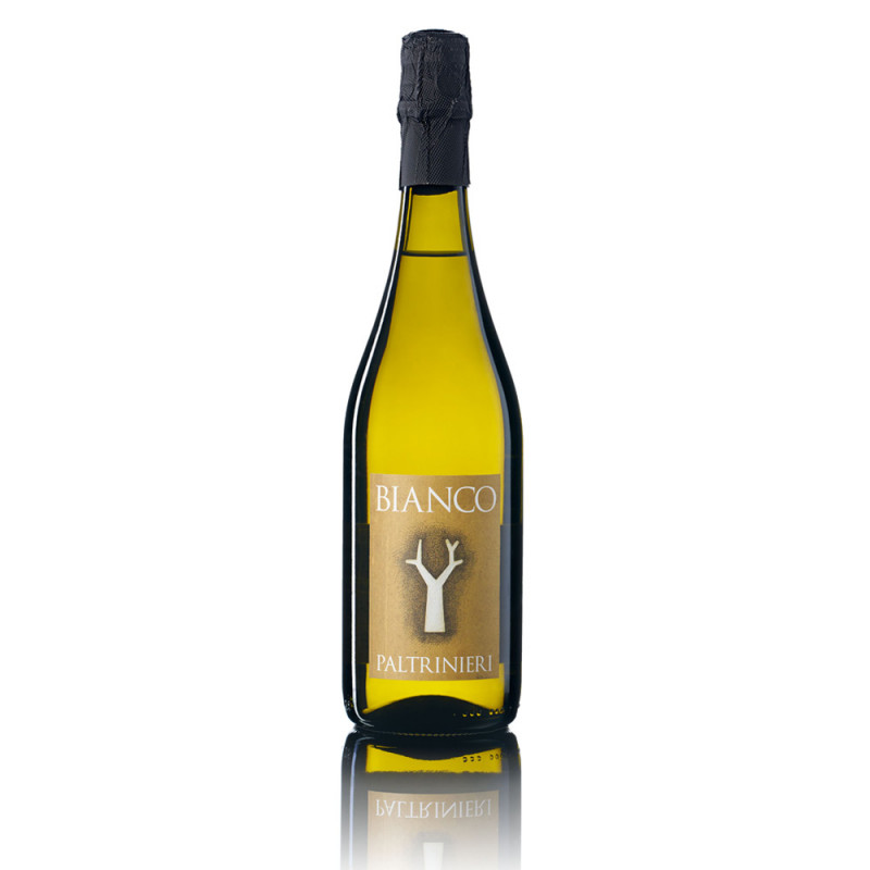 Paltrinieri Bianco Frizzante 2019