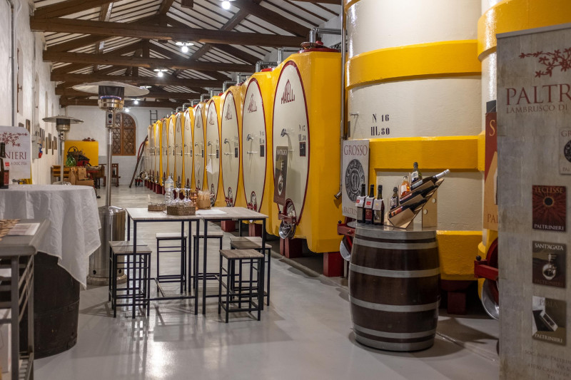 Paltrinieri Lambrusco di Sorbara Sant'Agata 2023