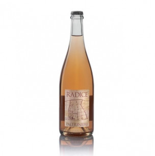 Paltrinieri Lambrusco di Sorbara "Radice" 2018 (Tappo ...