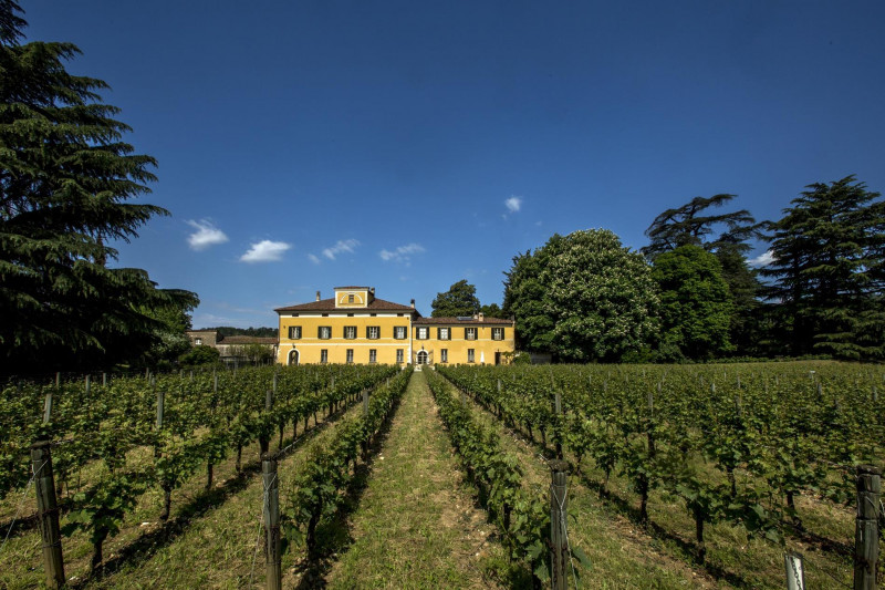 Mosnel Franciacorta Brut Rosé S.A.