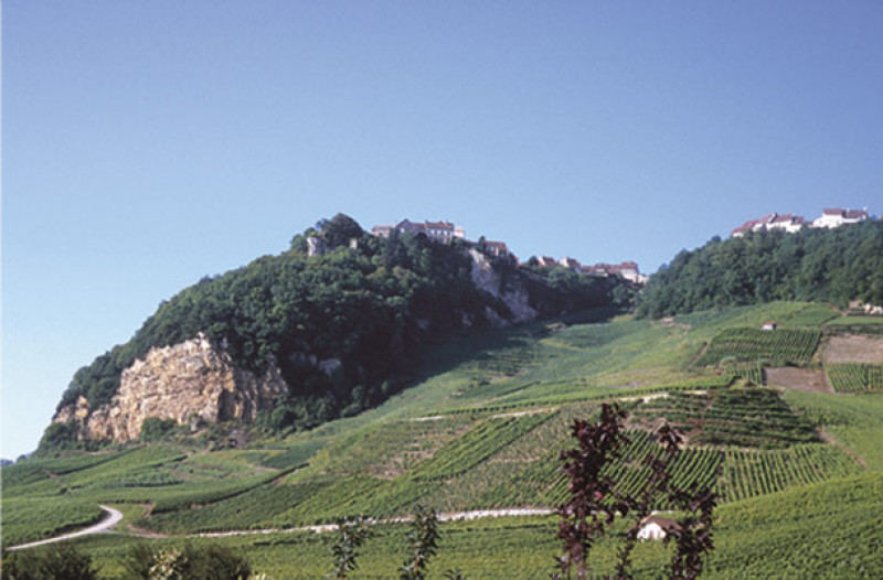 Berthet Bondet Chateau Chalon 2012