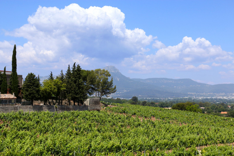 Domaine de la Navicelle Rosé 2023