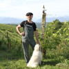 Clos Lapeyre Juranҫon Sec Vintage Vielh 2020