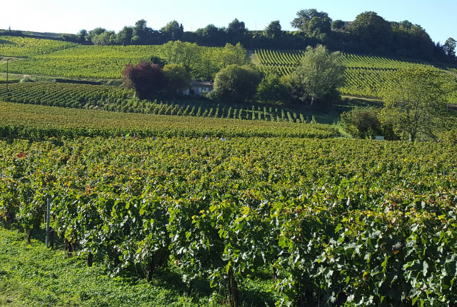 Domaine Jean-Yves Millaire