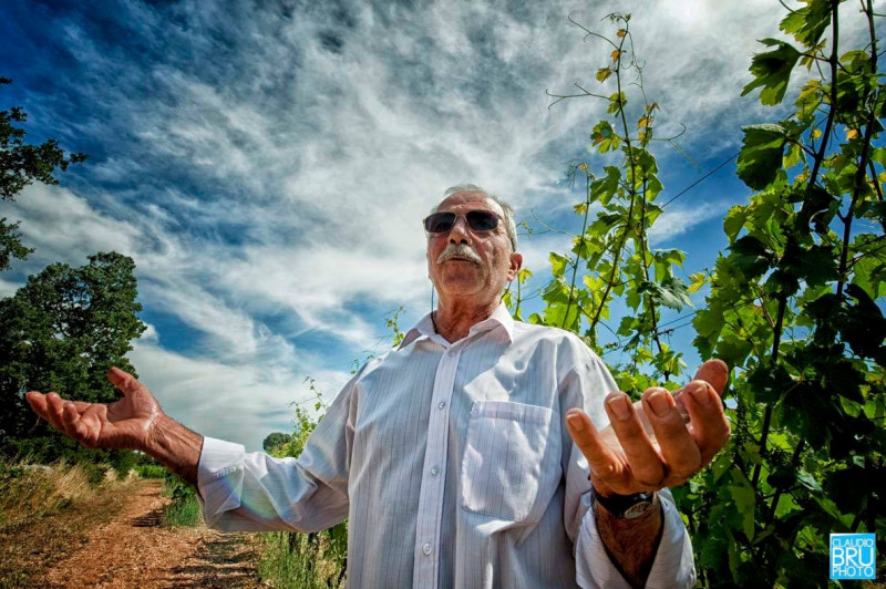 Fatalone Primitivo Rosato Teres 2021