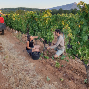 Domaine de la Navicelle