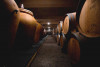 Chateaux de La Selve Beaulieu Amphora 2021