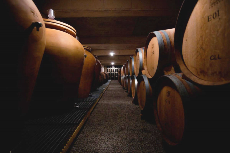 Chateaux de La Selve Beaulieu Amphora 2021