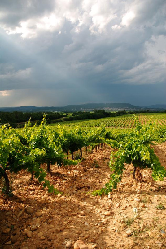 Domaine Duseigneur Lirac Antarès 2021