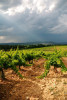 Domaine Duseigneur Lirac Antarès 2021