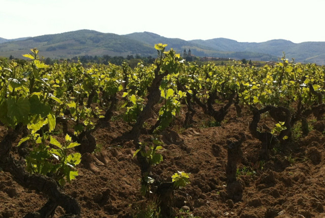 Domaine Jean-Paul & Charly Th&eacute;venet