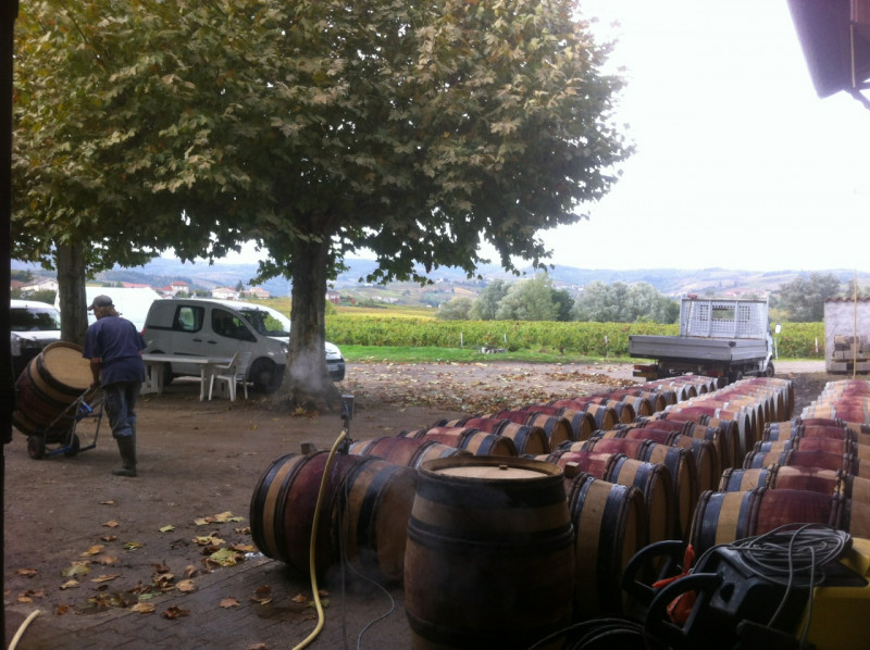 Régnié Gamay "Grain & Granit" 2018