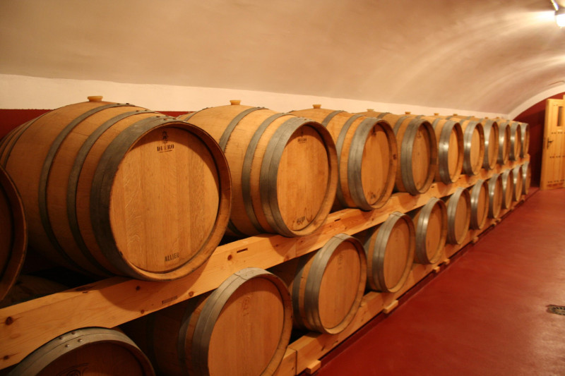 Ribera del Duero Camino Romano 2022