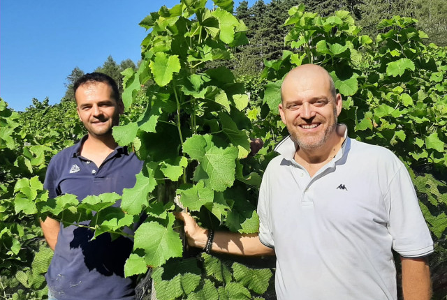 Azienda Agricola Sbop Stefano