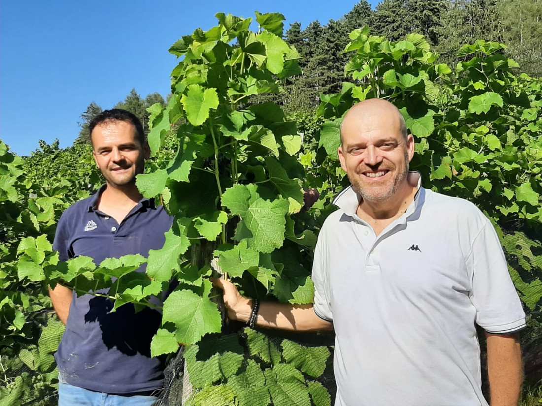 Azienda Agricola Sbop Stefano