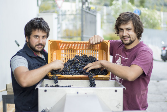 Le belle storie di appassionati Vignaioli Indipendenti su Enovely!