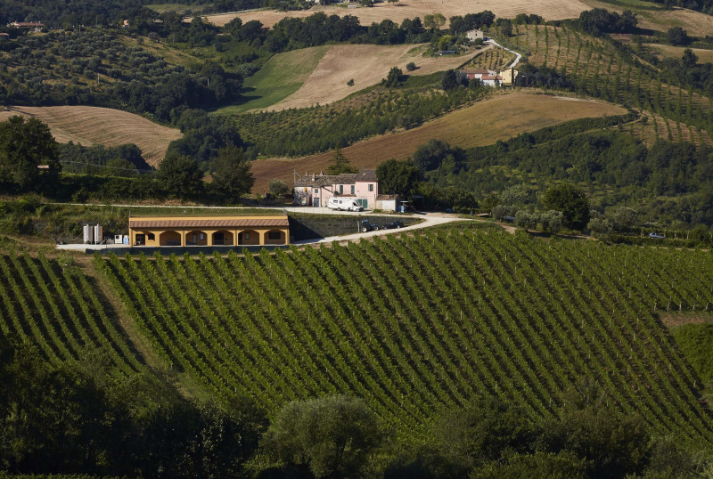 La Staffa Verdicchio dei Castelli di Jesi Riserva 2020