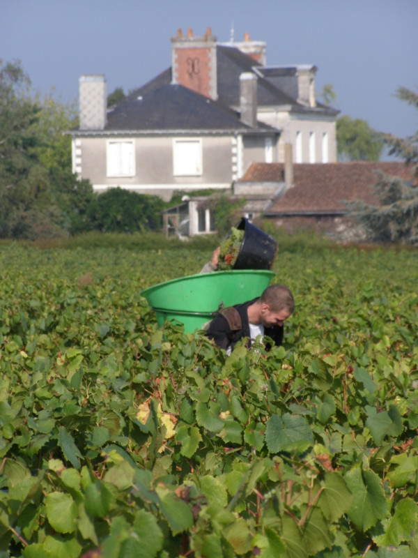 Muscadet Les Bonnets Blancs 2023