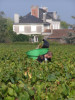 Muscadet Les Bonnets Blancs 2022