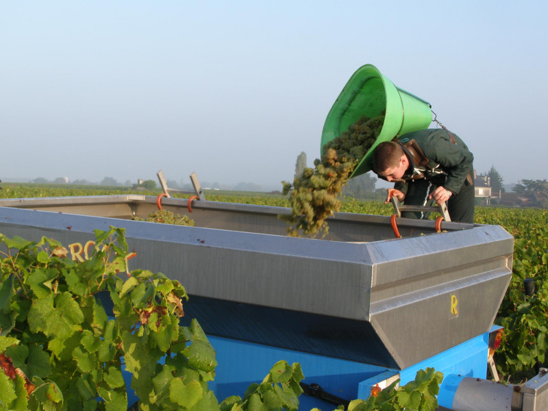 Muscadet Les Bonnets Blancs 2022