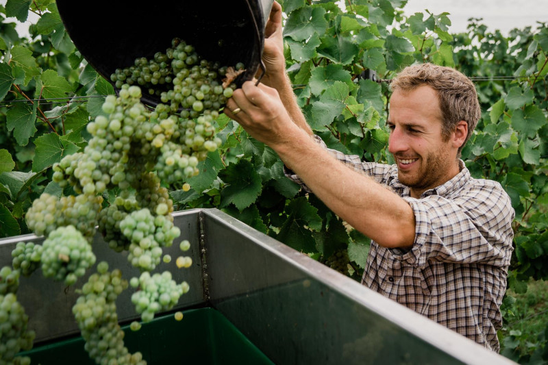 Kore Riesling Herrgottsacker Trocken 2020