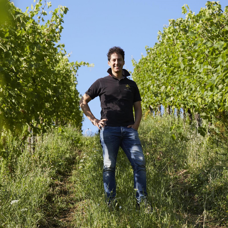 La Staffa Verdicchio dei Castelli di Jesi Classico Superiore 2022