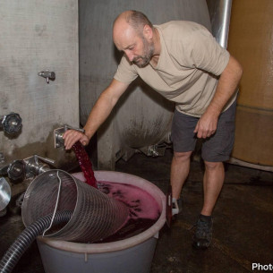 DOMAINE MAS DES CAPRICES