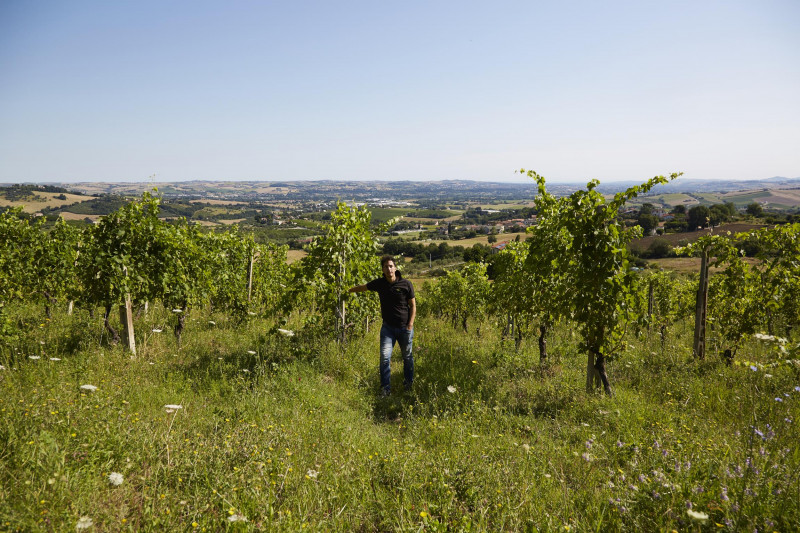 La Staffa Verdicchio dei Castelli di Jesi Classico Superiore 2022