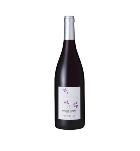 Domaine Bonnet-Huteau Cabernet-Cot 2021