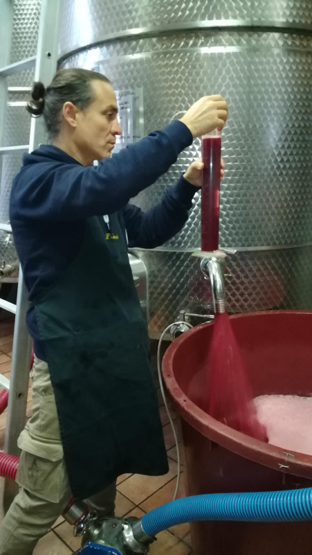 Langhe Nebbiolo Ferdinando Principiano 2023