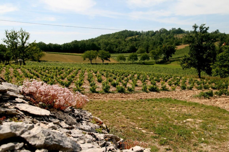 Chateau Les Croisille Malbec Croizillon 2021