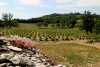 Chateau Les Croisille Malbec Croizillon 2021